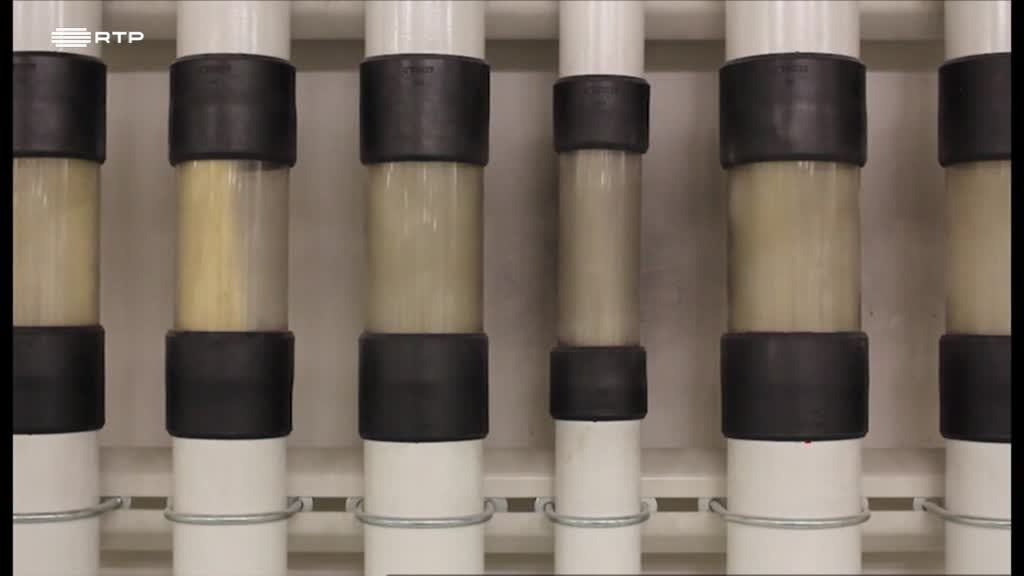 Imagem de Tintim Por Tintim - Massa