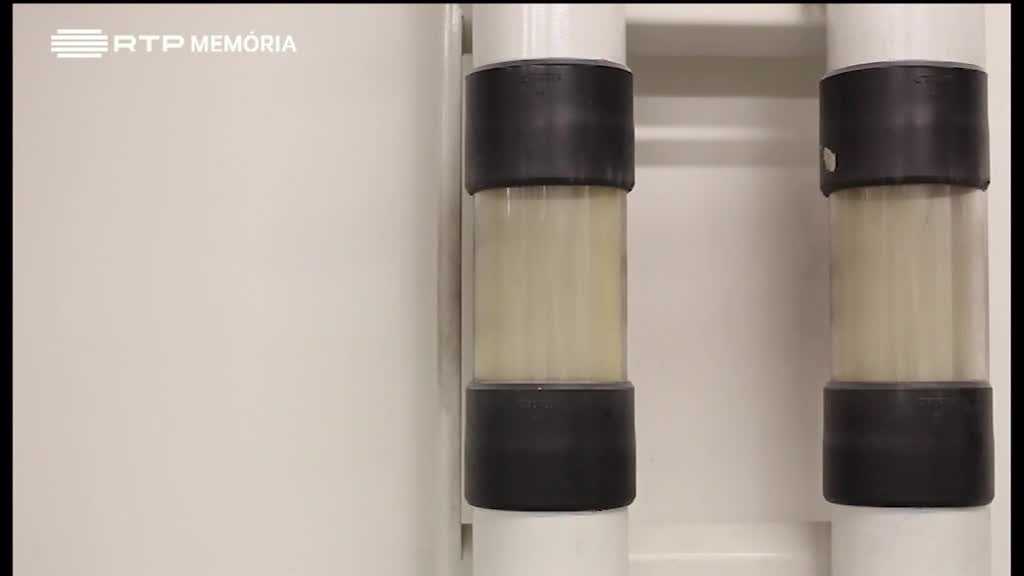 Imagem de Tintim Por Tintim - Massa