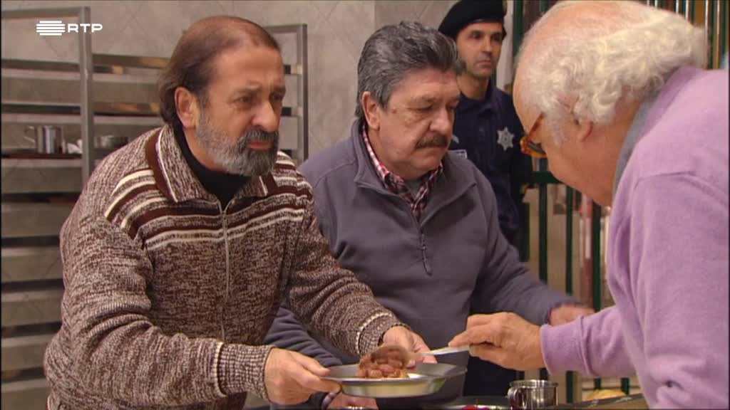 Imagem de Velhos Amigos - Ninho de pássaros