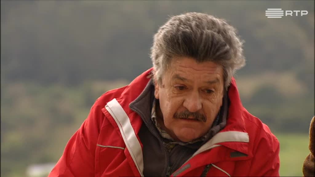 Imagem de Velhos Amigos - O conto do vigário