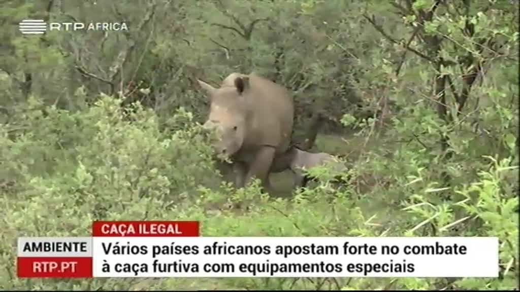 Imagem do Programa / Episiódio - Zoom África