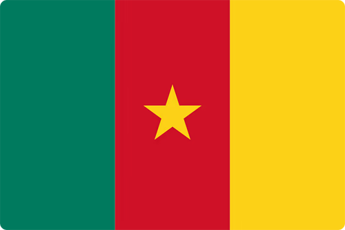 Seleção Camarões