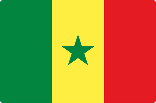 Seleção Senegal