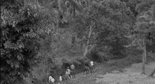 Visita oficial de Alves Aldeia, Governador de Timor