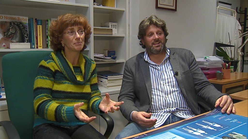 Adoção em Portugal