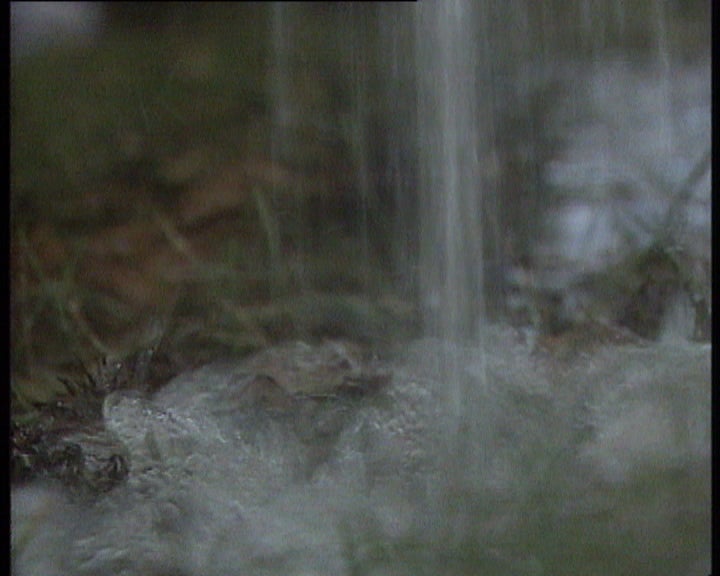 Vila Nova de Famalicão tem água