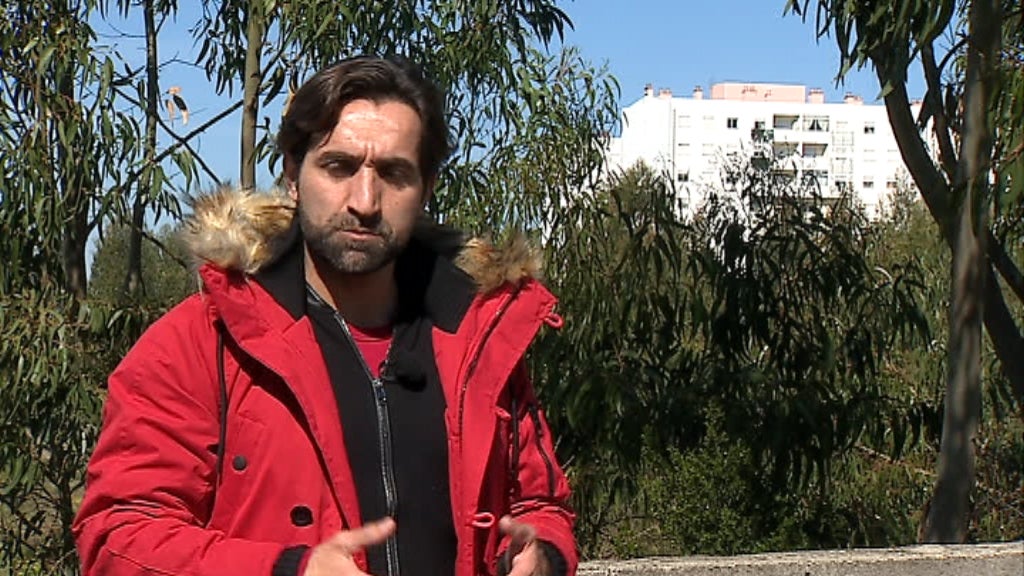 Limpeza de terrenos florestais