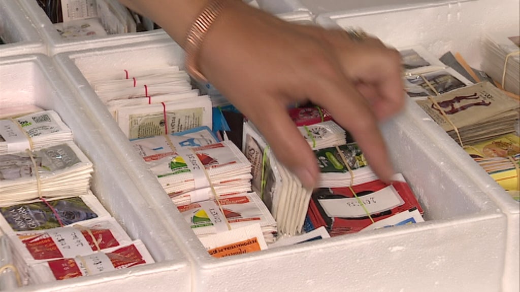 Colecionadores de pacotes de açucar