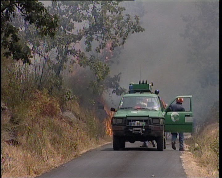 Incêndio na Serra de São Mamede