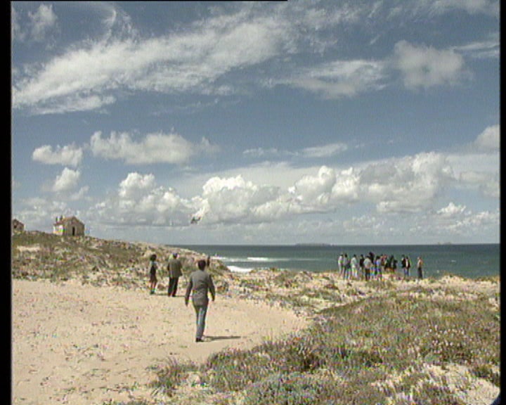 Quercus contra campo de golfe