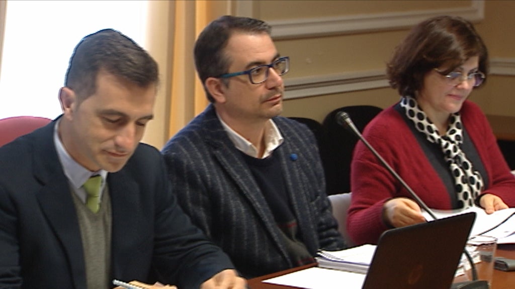 Comissão de Inquérito à enfermeira Ana Rita