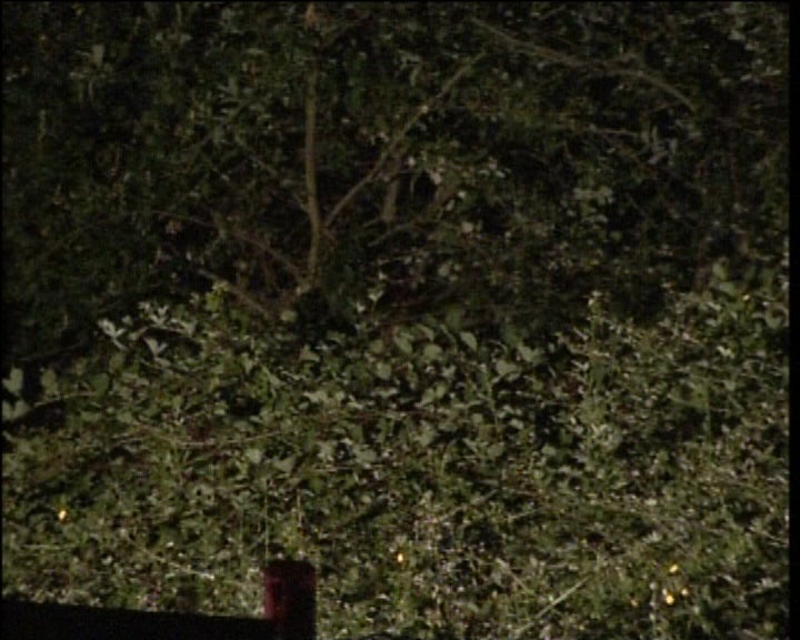 PJ encontra corpo de Carina