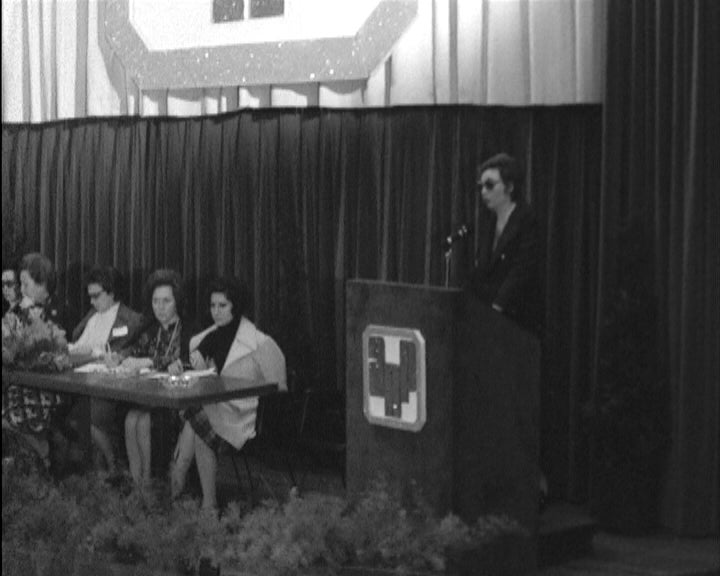 Plenário dos núcleos distritais femininos da ANP em Lisboa