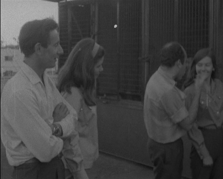 Crias de leoa em Lourenço Marques