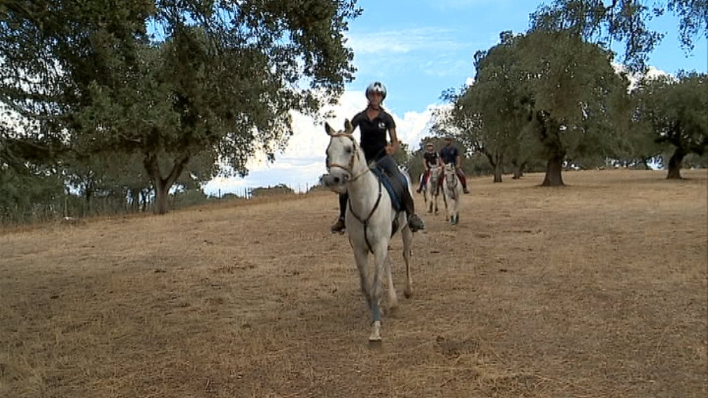 Equitação: Cavaleira Ana Barbas I