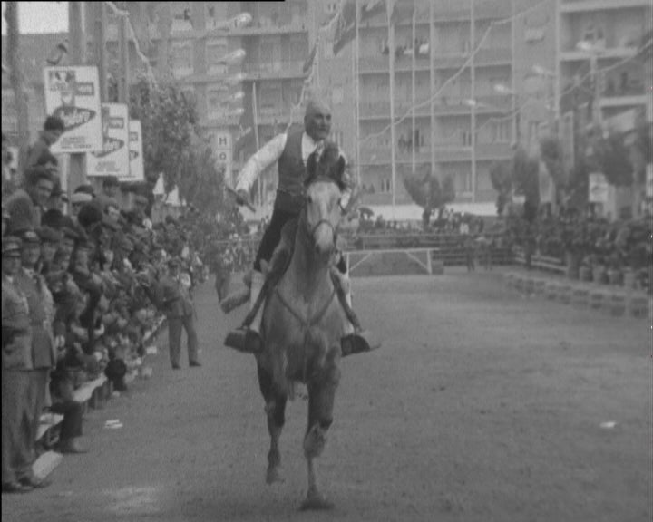 Celebração do Dia do Cavalo em Santarém