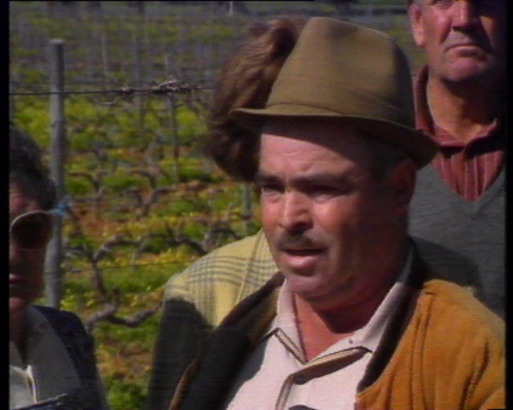 Agricultores de Tavira contra Via do Infante