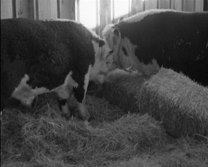 Visita de Domingos Rosado Vitória Pires a Santarém