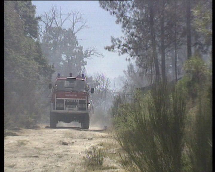 Prevenção de incêndios florestais