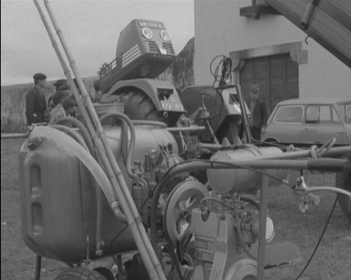 Feira Anual e Concurso Pecuário em Goios