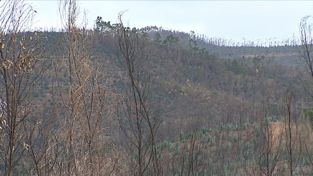 Habitações de Monchique