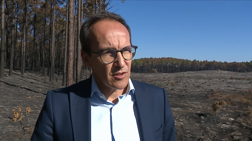 Rescaldo incêndio no Pinhal de Leira