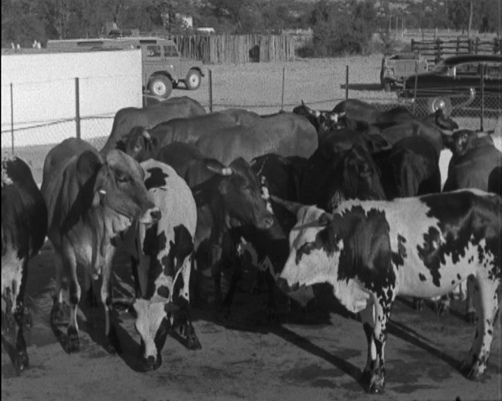 Silvério Marques visita o distrito de Moçâmedes