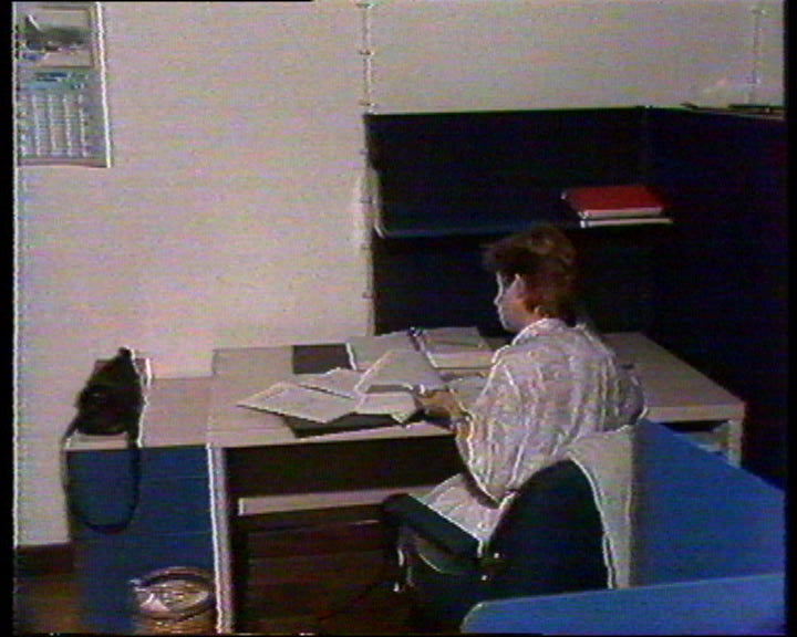 Novas tecnologias de informação na Madeira