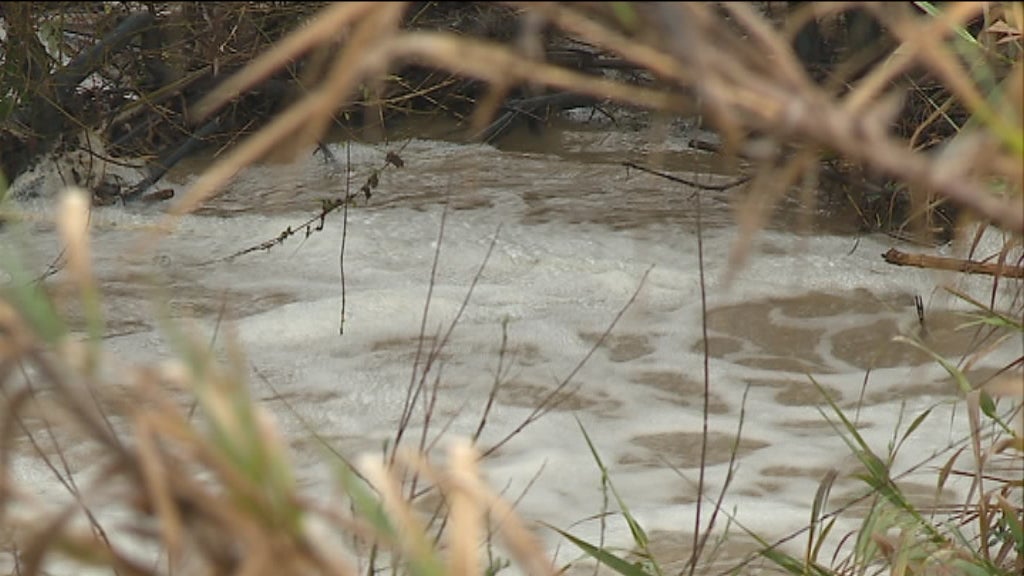 Efluentes das suiniculturas