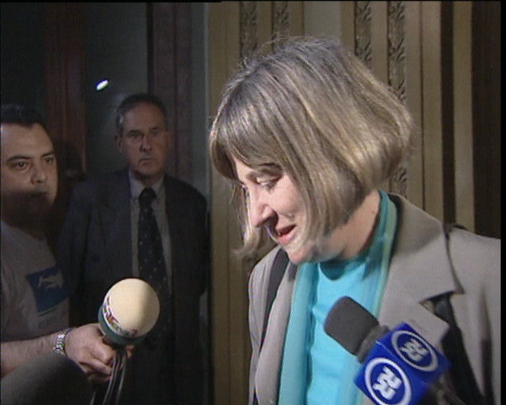 Demissão de Manuel Alegre