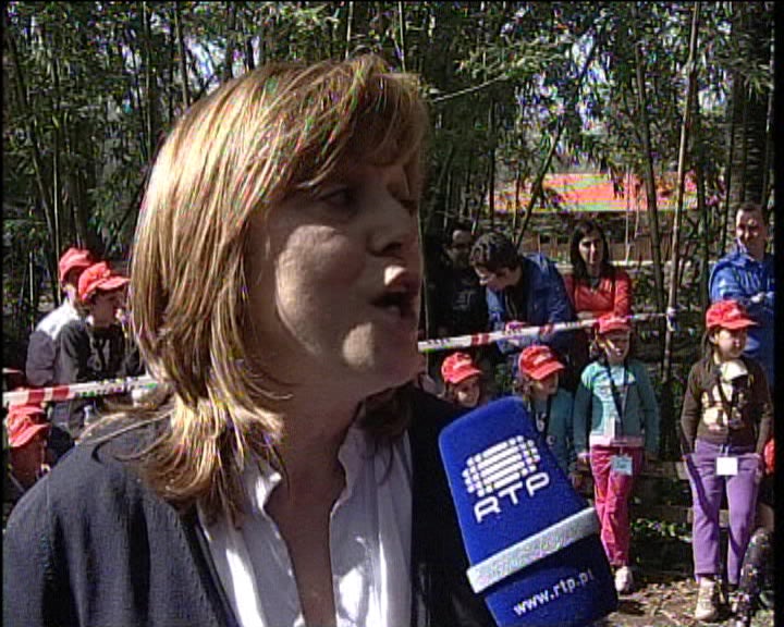 Dia da Árvore e da Floresta