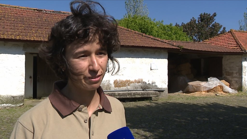 13ª edição de “Serralves em Festa”