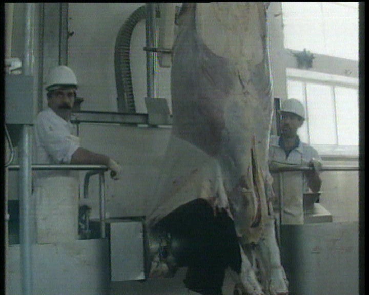 Abate de Gado nos Açores