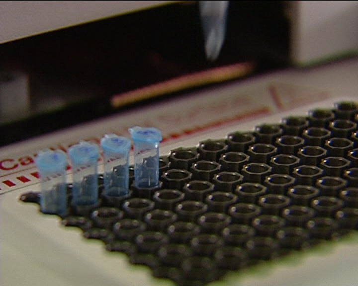 Estudo sobre fertilidade masculina