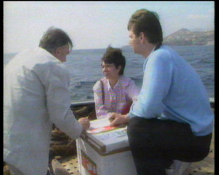 Tartarugas devolvidas ao mar na Madeira