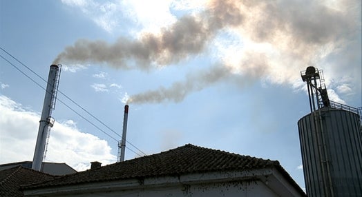 Poluição no rio Tejo