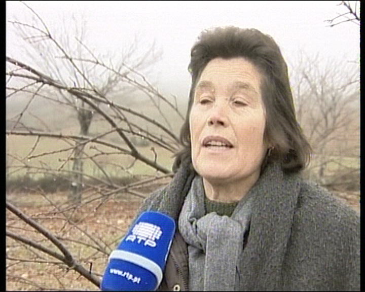 Abate de castanheiros