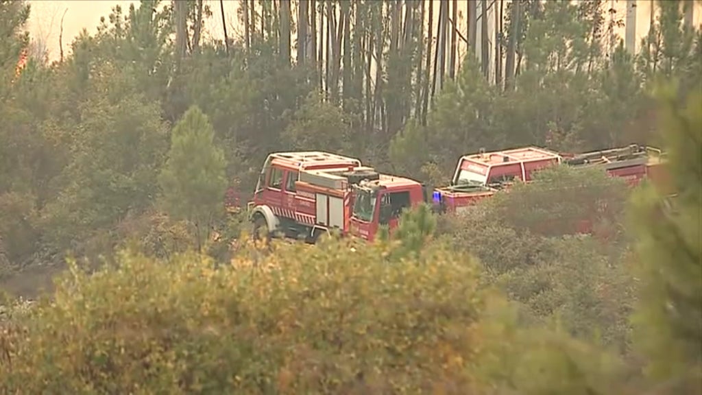Incêndio florestal em Alvaiázere