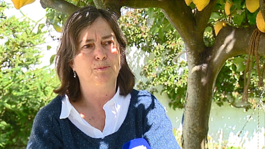 Identidade de género