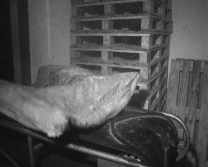 Rede Nacional de frio