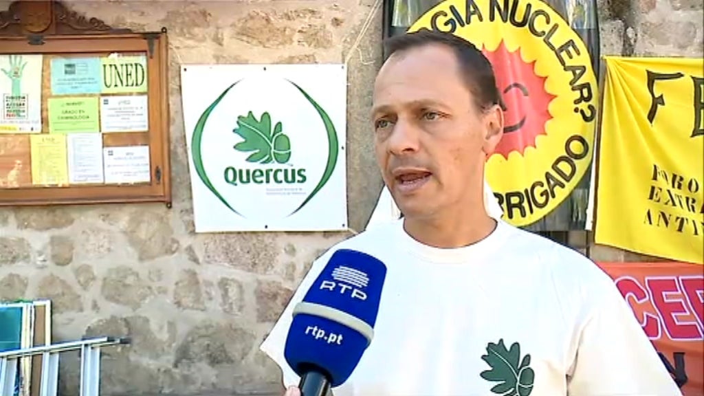 Quercus contra Almaraz