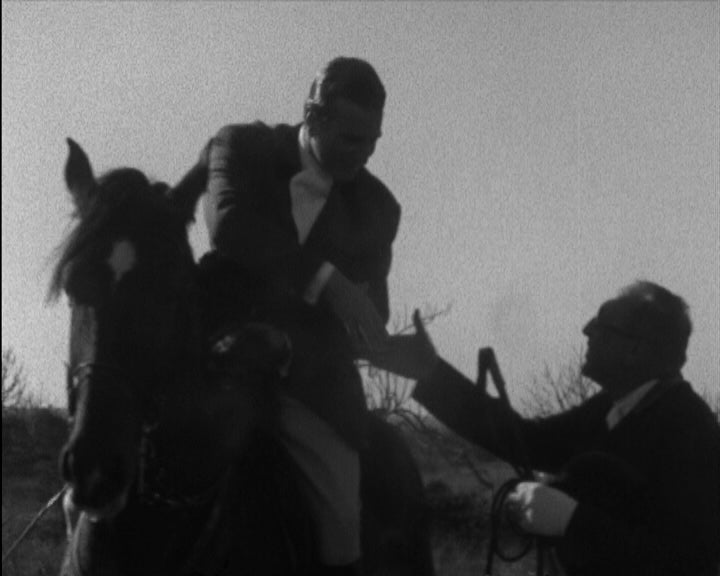 Caçada às raposas em Vilamoura