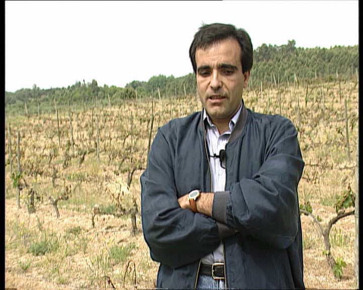 As geadas na região de Beira Douro e Távora