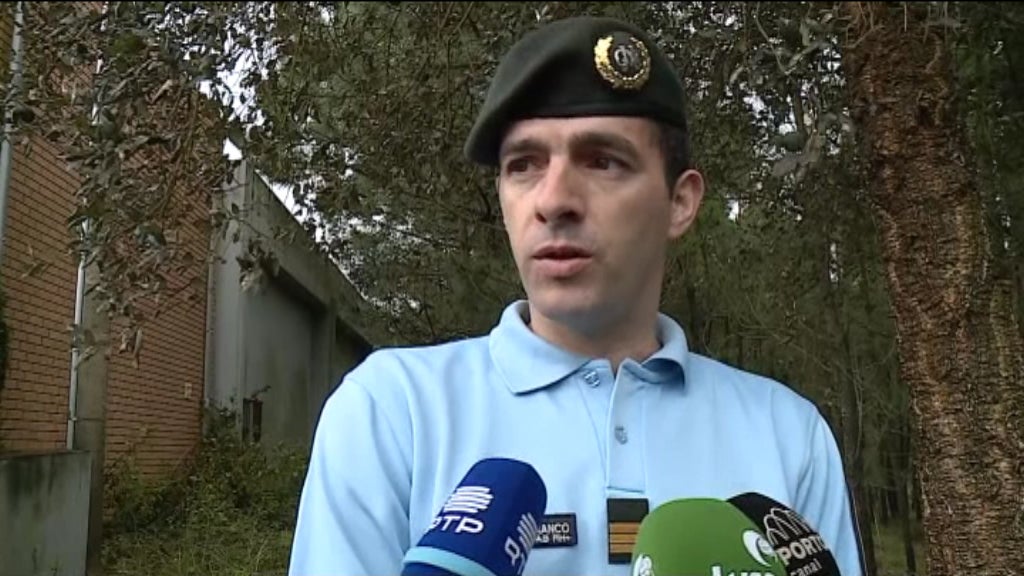 Limpeza de terrenos florestais