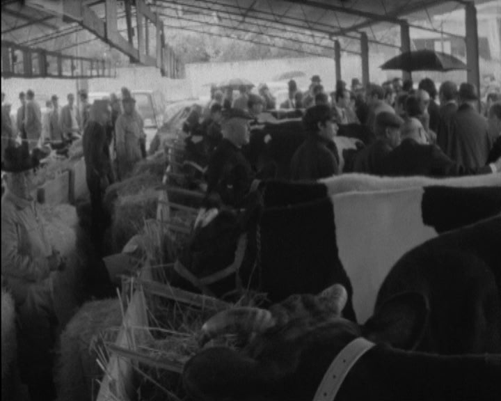 Inauguração da Feira da Primavera