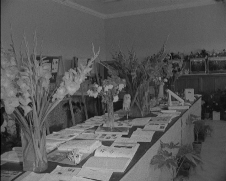 Encerramento do ano letivo no Colégio Militar