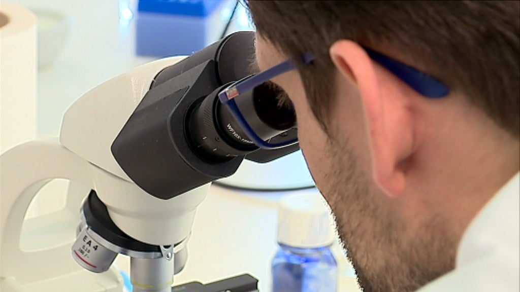 Cientistas de Bragança