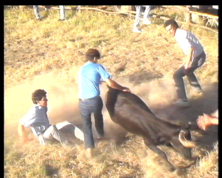 Economia do Alentejo