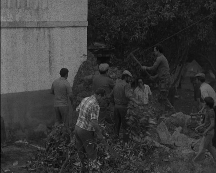Muro derrubado na Quinta do Amieiro de Cima