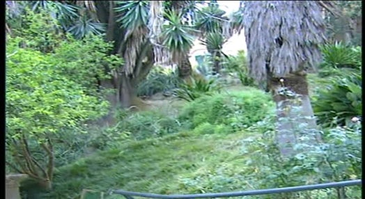A Preservação do Jardim Botânico de Lisboa